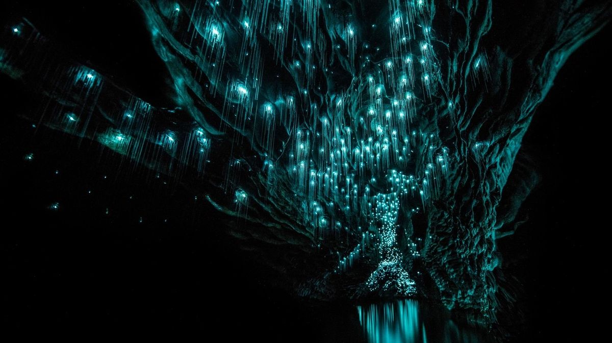 FOTO: Novozélandská jeskyně má strop jako hvězdnou oblohu. Může za to hmyz